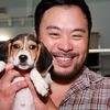 David Chang Is Opening A Restaurant In Pier 17 At The South Street Seaport